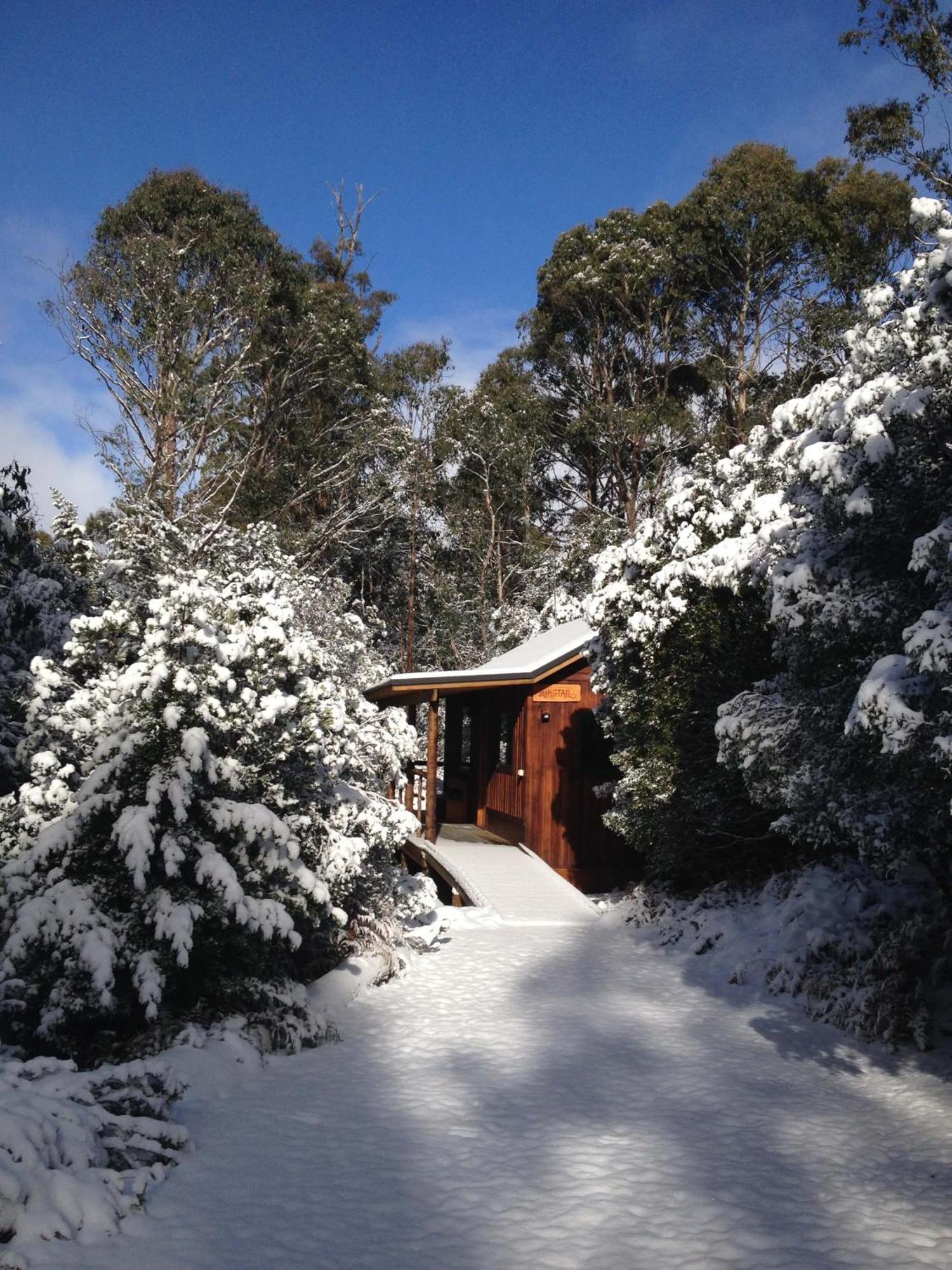 Cradle Highlander Villa Cradle Mountain Exterior photo